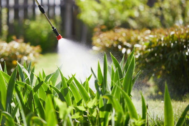 24/7 Emergency Termite Control experts in Glendale, MO