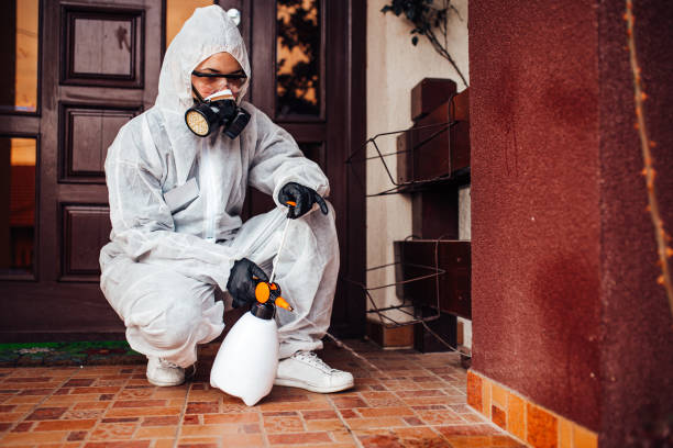 Reliable Termite Control contractor in Glendale, MO by Nex Pest Control